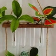 thumbnail image 4 of 4Pcs Clear Glass Test Tubes for Plant Propagation Multi Use Terrarium Planters, 4 of 9