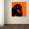 thumbnail image 3 of Trademark Fine Art "Chimp No 3" Canvas Art by Claire Doherty, 3 of 3