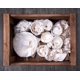 thumbnail image 5 of Papel de embalaje de 12 x 12 pulgadas para mover 100 hojas que protegen la porcelana frágil y los vasos Papel de regalo pequeño para envío y relleno de cajas de mudanzas, 5 of 5