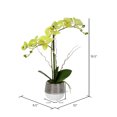 thumbnail image 3 of Vickerman 19.5" Artificial Green Phalaenopsis In Metal Pot., 3 of 3