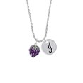 thumbnail image 2 of Delight Jewelry Silvertone Purple Grapes Silvertone Script Initial Disc - J - Charm Necklace, 20"+3", 2 of 4
