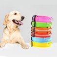thumbnail image 2 of Jinsinto Collier Lumineux pour Chien, Collier Lumineux LED, Sécurité Chien, Couleur Bleue, Taille G (52CM), 2 of 3