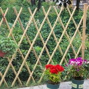 Ecostake 6 Bamboo Garden Support Stakes with Eco-Friendly Natural Material (150 Pack)