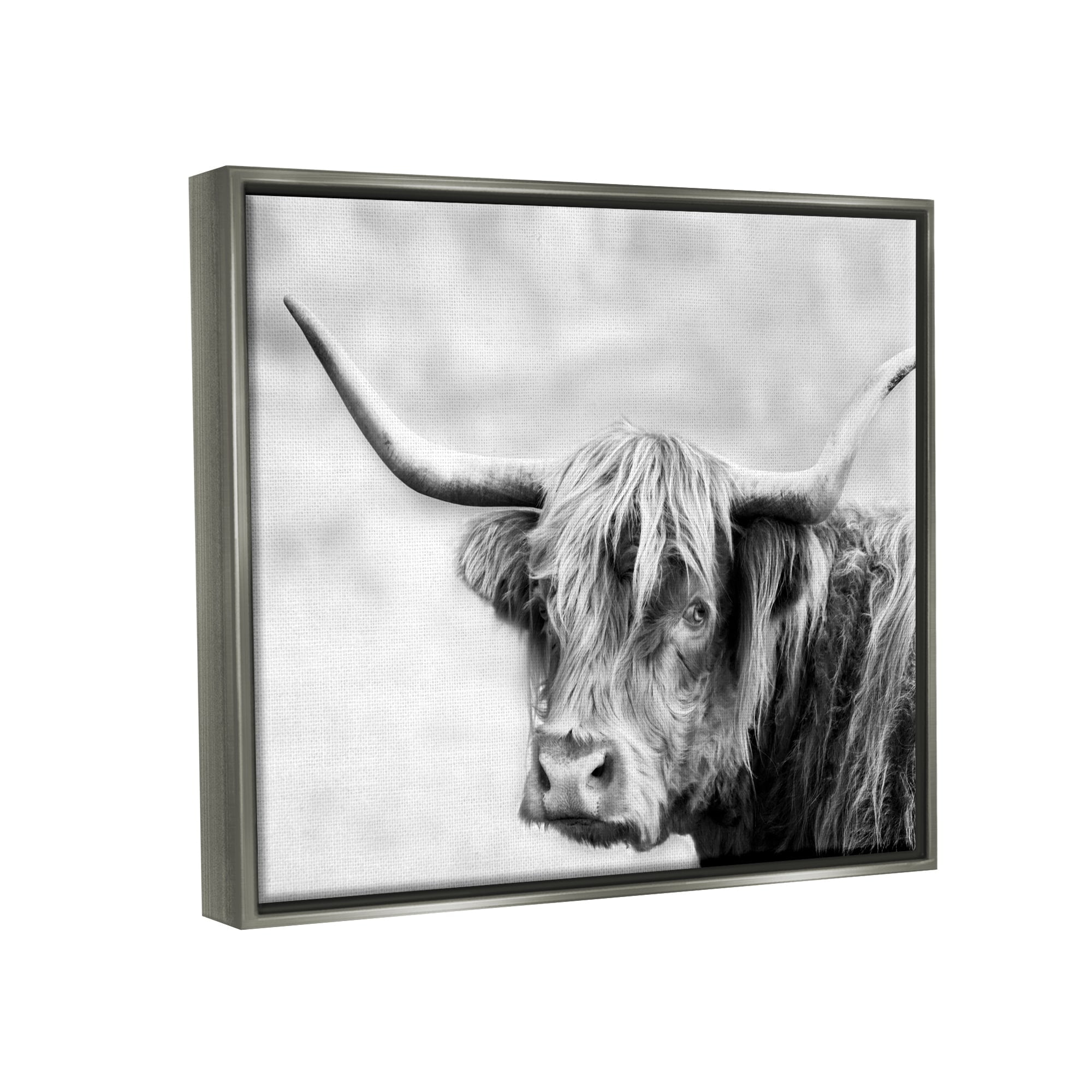 Stupell Industries Bold Country Cattle Black White Photography Wild Animal Luster Gray Framed Floating Canvas Wall Art, 16x20, by Danita Delimont