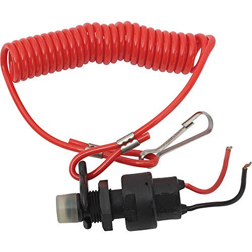 dynamite large scale safety kill switch