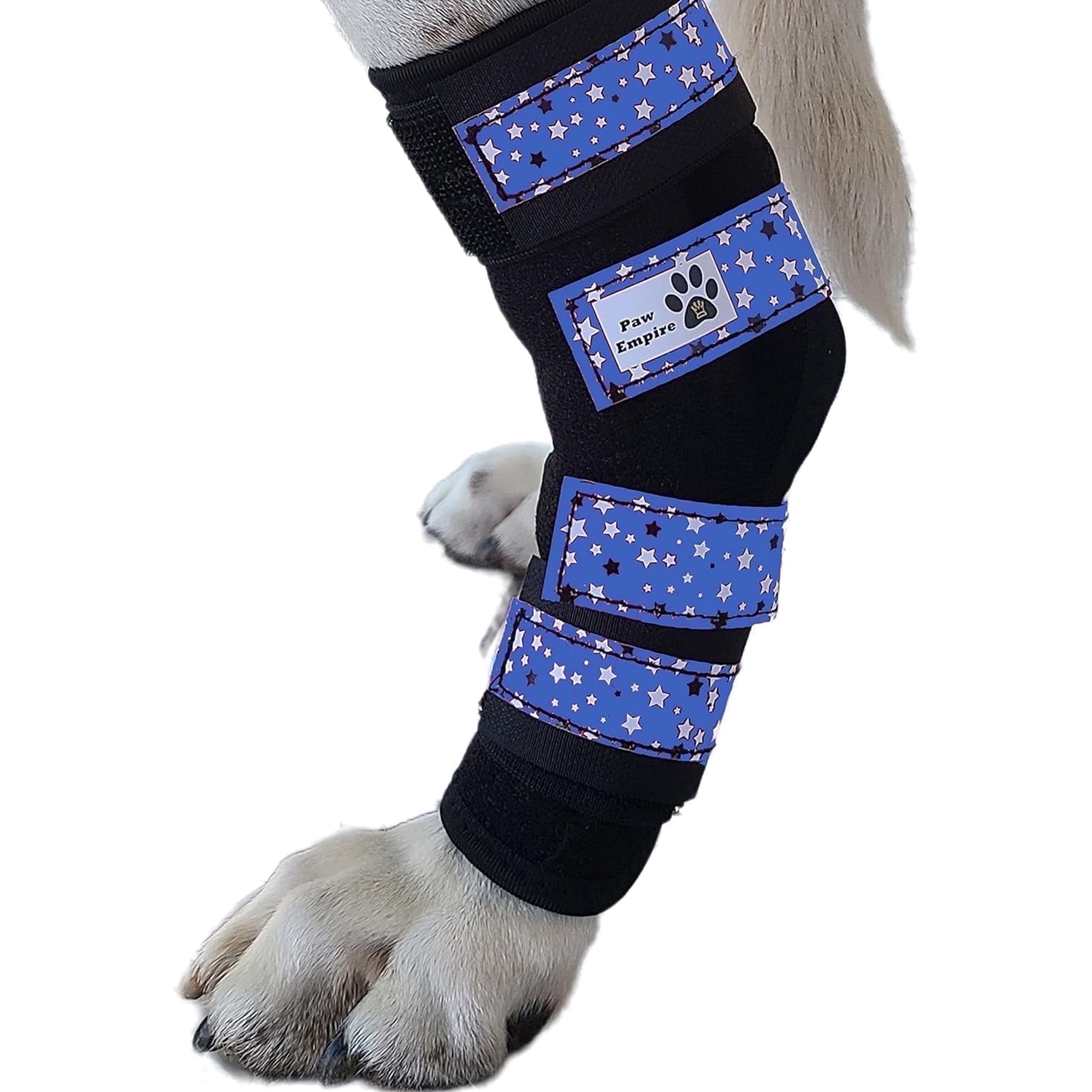 Paw Empire Dog Leg Braces, Ultra Supportive with Metal Springs, Blue Stars, Large