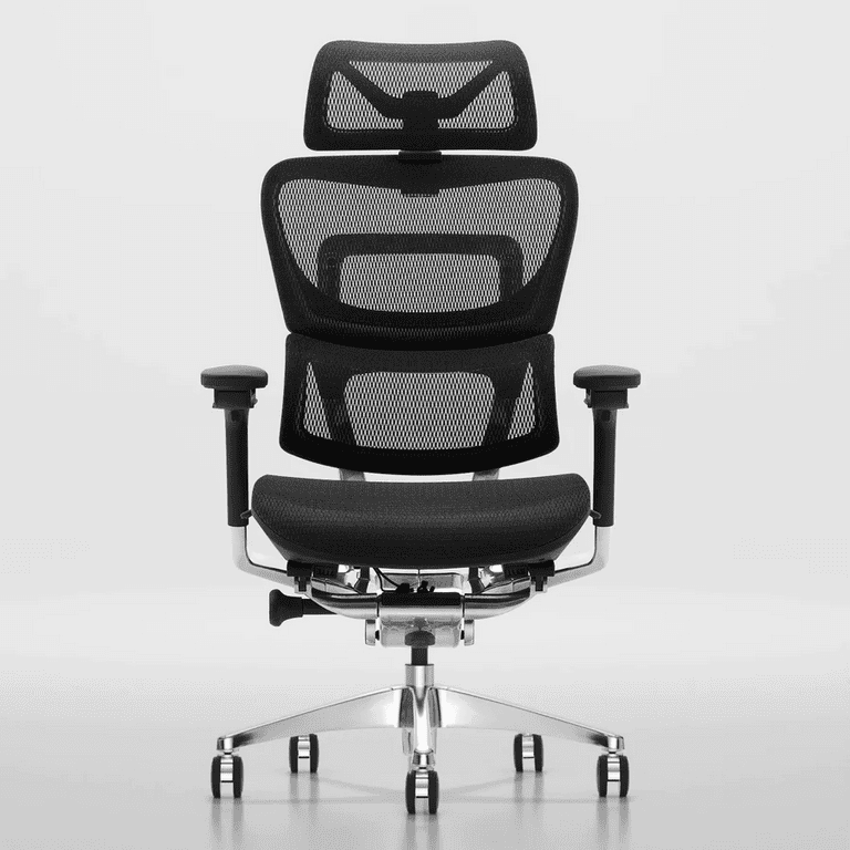 Best Office Chair for Back Pain with Adjustable Backrest | OdinLake Ergo Plus 743