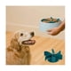 thumbnail image 5 of 2Pcs Spiral Slow Feeder Slow Feed Dog Bowl Pet Feeder Slow Feeder Pet Supplies Turn A Dog Bowl or Dog Dish, 5 of 5