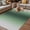 Grey, sea green, variant on Green Grey Ombre Outdoor Rug for Patio/Deck/Porch, Non-Slip Large Area Rug 5 x 8 Ft, Farmhouse Gradient Minimalist Indoor Outdoor Rugs Washable Area Rugs, Reversible Camping Rug Carpet Runner