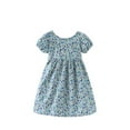 thumbnail image 6 of Gyratedream Toddler Kids Baby Girls Floral Sundress Casual Backless Princss Dress, Size 1-7 Years, 6 of 6