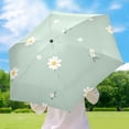 thumbnail image 6 of Fresh Flowers Design Umbrellas for Sun Auto Open Close UV50+ Waterproof 5-Fold Compact Fiberglass Frame, 6 of 6