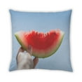 thumbnail image 2 of Ahgly Company Foods Watermelon Indoor Throw Pillow, 18 inch by 18 inch, 2 of 6