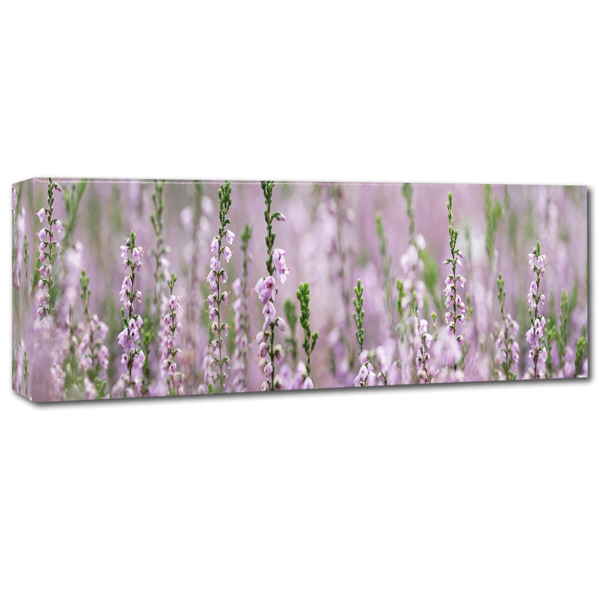 Trademark Fine Art 'Heather Scape' Canvas Art by Cora Niele