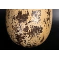 thumbnail image 4 of Large Theropod Dinosaur Egg Life Size Statue, 4 of 8