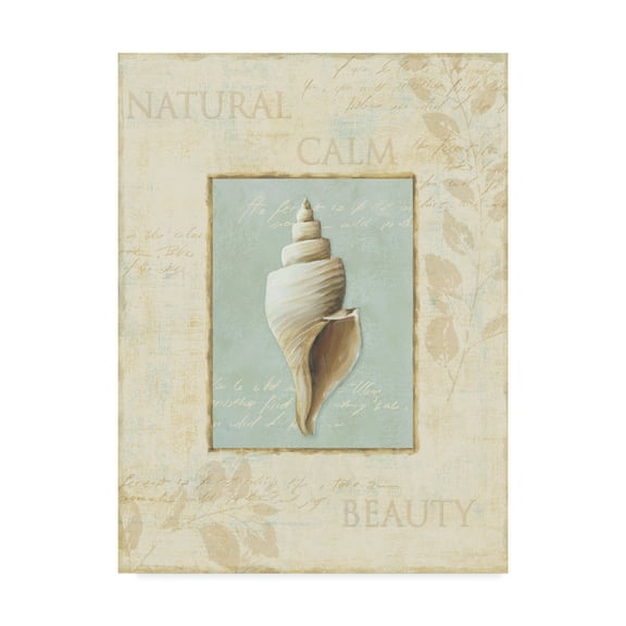 Trademark Fine Art 'Soothing Words Shells I' Canvas Art by Lisa Audit