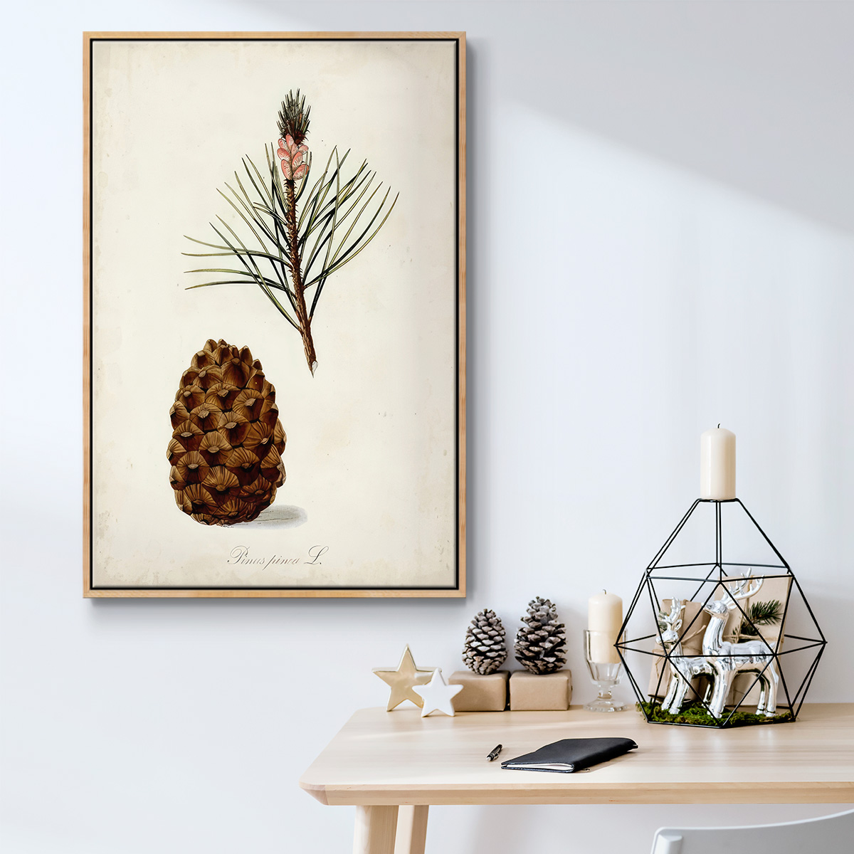 Antique Tree Study V - Framed Gallery Wrapped Holiday Canvas - 27 x 41 - Natural Wood Frame