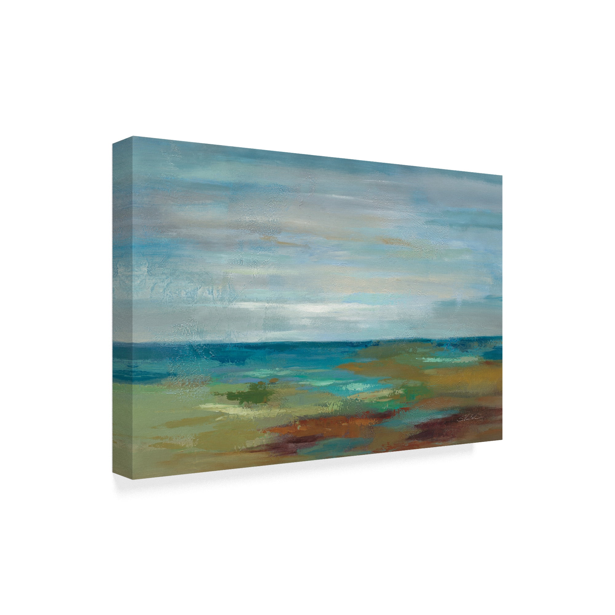 Trademark Fine Art 'Wispy Clouds' Canvas Art by Silvia Vassileva