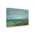 thumbnail image 2 of Trademark Fine Art 'Wispy Clouds' Canvas Art by Silvia Vassileva, 2 of 3
