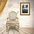 thumbnail image 3 of Swapnil 17x24 Gold Ornate Wood Framed with Double Matting Museum Art Print Titled - Amboseli, 3 of 4