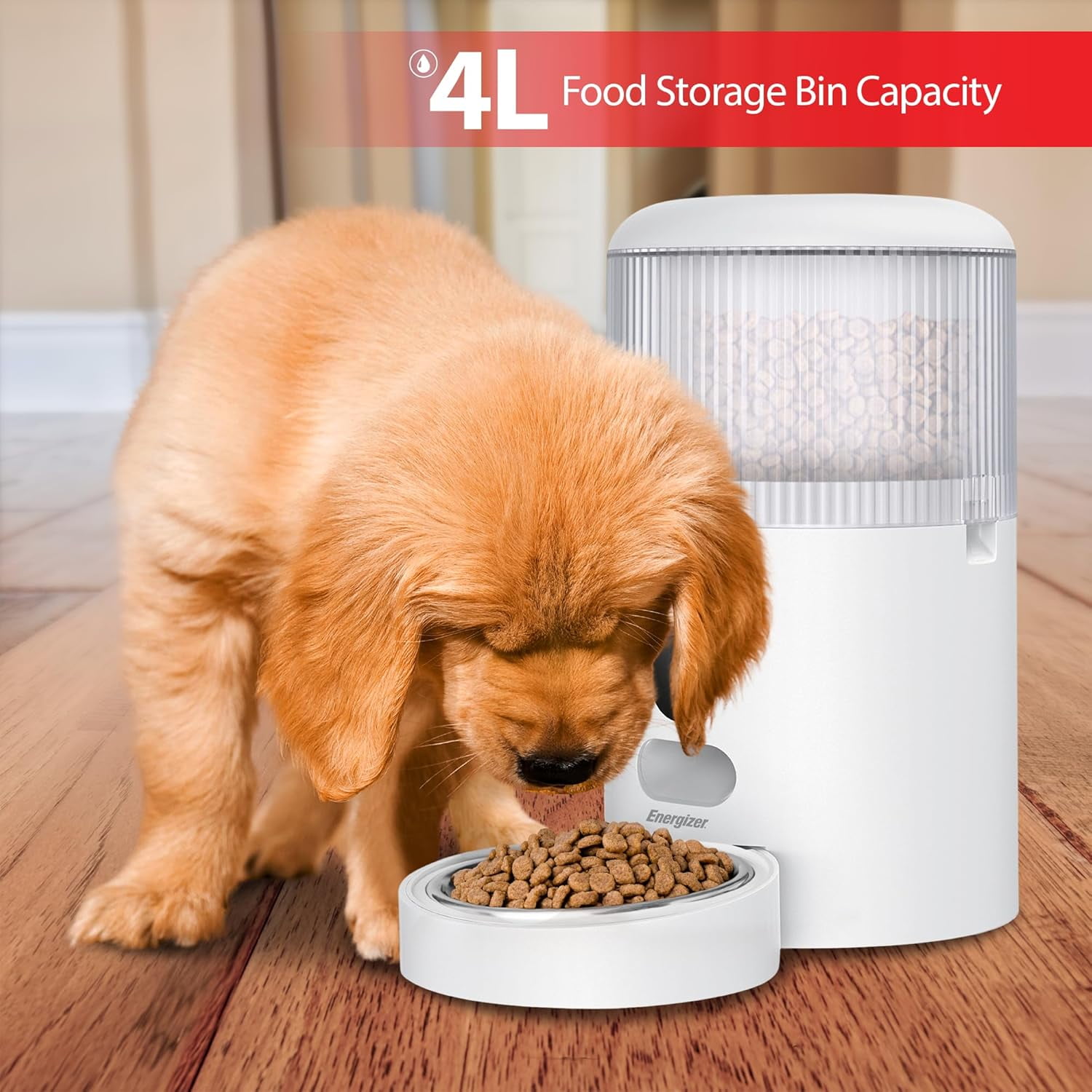 Energizer Smart Pet Feeder, Automatic Pet Feeder with 2K Video Camera & Two-Way Audio, White