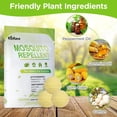 thumbnail image 7 of Tasajee Mosquito Repellent Outdoor Powerful 10 Pack Outdoor Mosquito Repellent for Patio Mosquito Repellent Outdoor for Yard, Camping, Child & Pets Friendly, 7 of 7