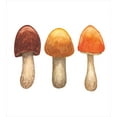 thumbnail image 3 of Ambesonne Nature Duvet Cover Sets, Tricolor Mushroom Drawing, 2-King, Redwood and Orange, 3 of 7
