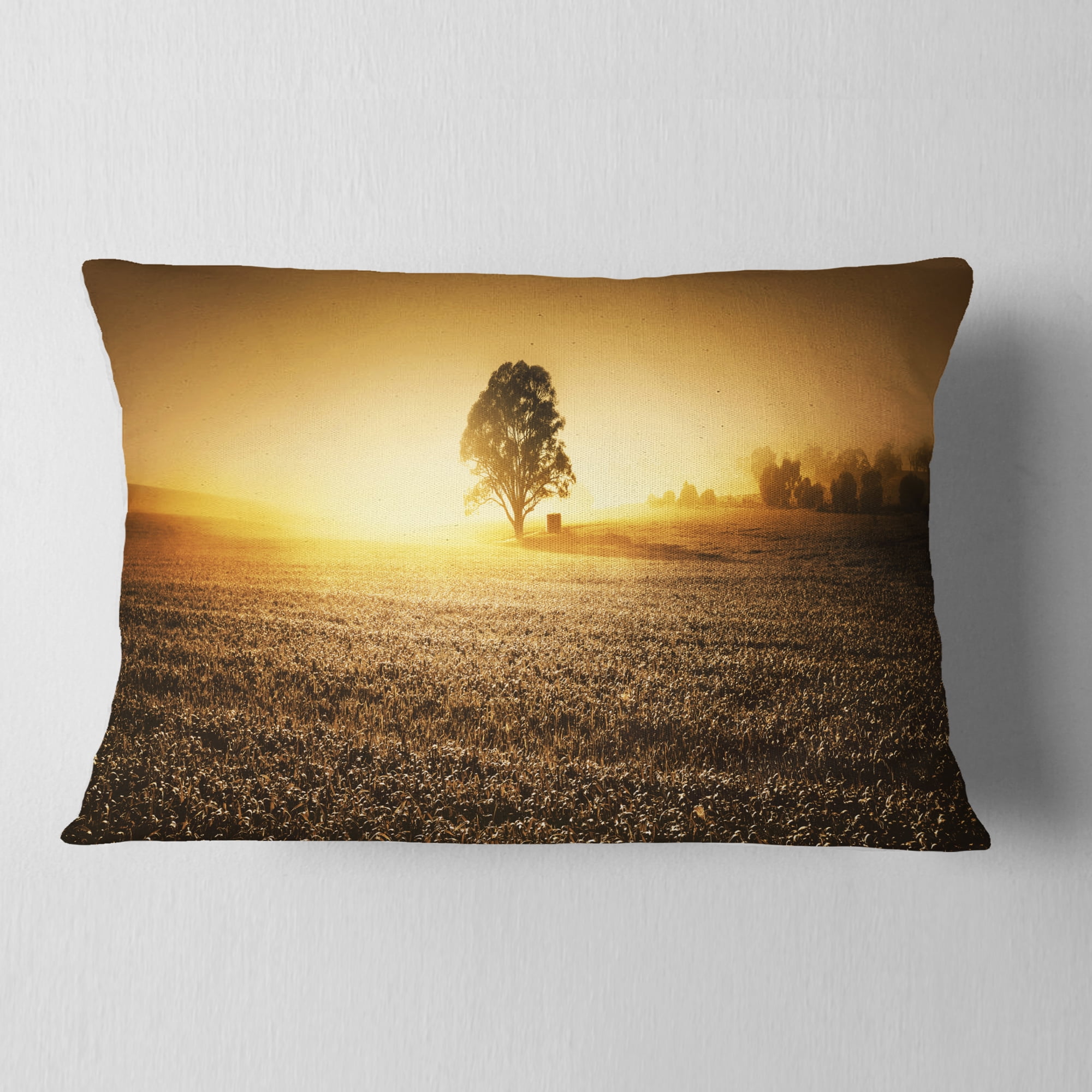 Designart Farmland Panorama - Landscape Photography Throw Pillow - 12x20