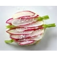 thumbnail image 4 of TomorrowSeeds - French Breakfast Radish Seeds - 1800+ Count - For 2026 Planting Red Pink White, 4 of 11