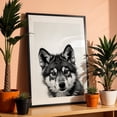 thumbnail image 3 of baby wolf - Photography Animal Wildlife Black and White Dog Portrait Nature Minimalist Black Framed Wall Art Print 24 x 36 inches, 3 of 8