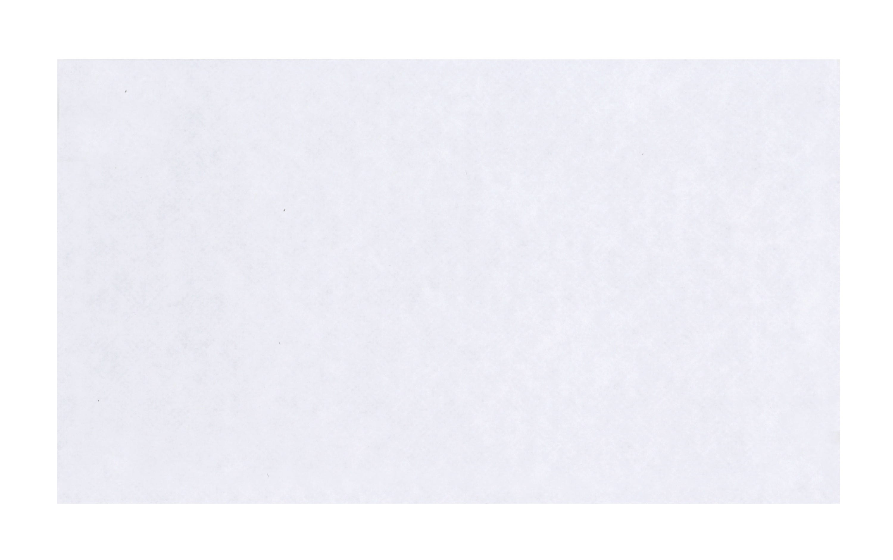 PEN+GEAR Security Envelopes, 20 lb. White, #6-3/4 (3-5/8 x 6-1/2 in.), Peel & Stick, 100 per box