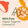 thumbnail image 5 of Plant Therapy Tangerine Organic Essential Oil 10 mL (1/3 oz) 100% Pure, Undiluted, Natural Aromatherapy, 5 of 9