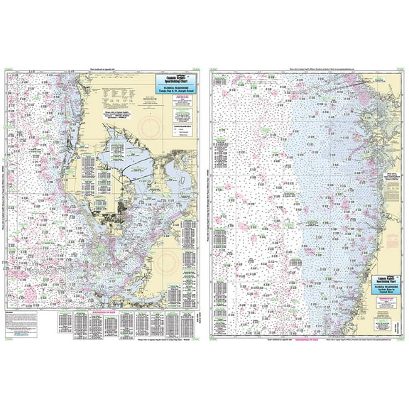 Tampa Bay to Crystal River, FL