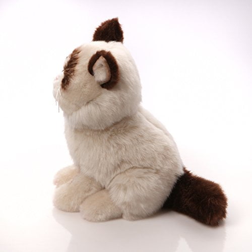Gund Grumpy Cat Plush Soft Toy Sitting Blue Eyed Cat 9” Stuffed Animal 