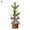 B, variant on Mini Christmas Tree Vivid Decorations Portable 25cm Artificial Miniature Christmas Tree for Desktop Red Plastic,Iron Wir