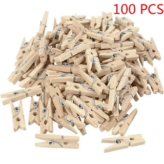 POINTERTECK Mini Clothes Pins for Photo, Small Clothespins 50 Pack Wooden  Rainbow Colorful Picture Clips, Mini Natural Wooden Clothespin, Display  Artwork, Hanging Decorative Tiny Cards 