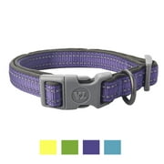 Angle View: Vibrant Life Reflective Comfort Dog Collar, Purple, Medium