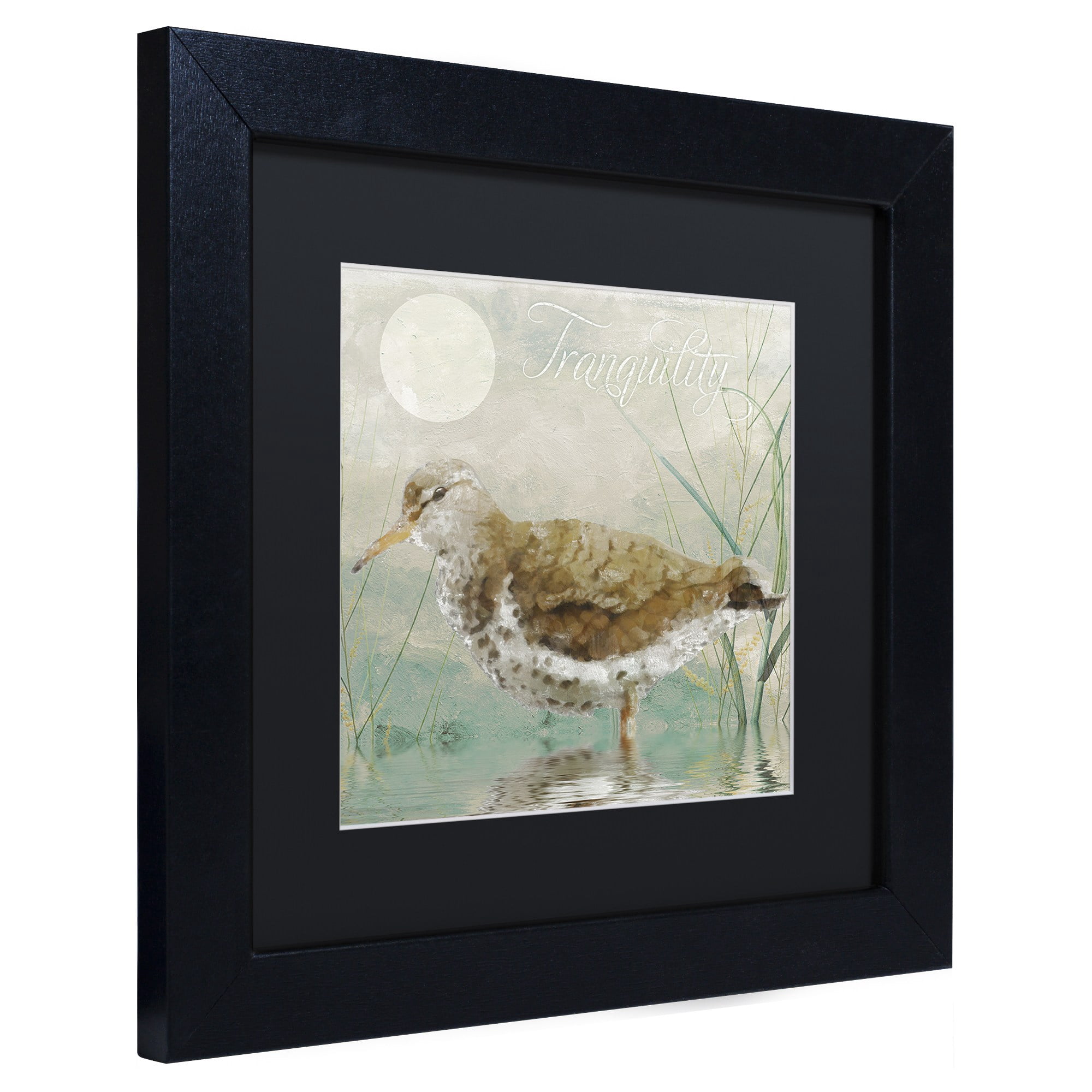 Trademark Fine Art "Sand Piper II" Canvas Art by Color Bakery Black Matte, Black Frame