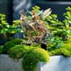 thumbnail image 5 of Tarjeta de Jardín con Ciervos Mágicos y Bosques, Decoración de Escena con Plantas en Macetas para Patio, Tarjeta de Suelo de Acrílico, 5 of 7
