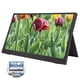 thumbnail image 5 of 15.6 Inch Display IPS Display Freesync Technology For Work Entertainment Home Office, 5 of 8