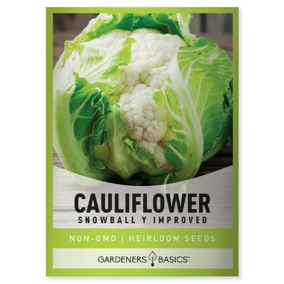 Snowball Y Improved Cauliflower Seeds