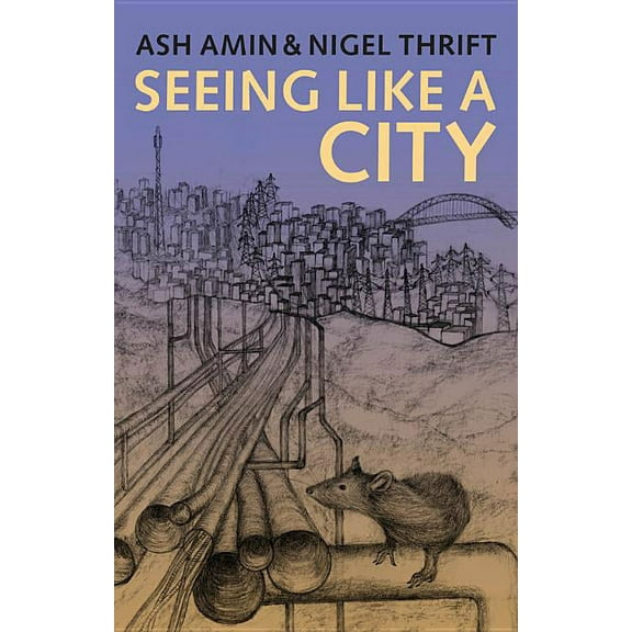 Seeing Like a City (Hardcover)