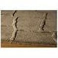 thumbnail image 3 of Momeni Satara Camel Rug, 3 of 4