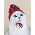 thumbnail image 1 of 1pc Christmas Series Pet Hat Decoration, 1 of 5