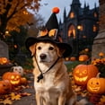thumbnail image 4 of Pet Halloween Witch Hat, Mini Pointed Dog and Cat Costume with Bow, Spooky Fuzzy Ball Headwear with Chin Strap for Holiday Photos, 4 of 5