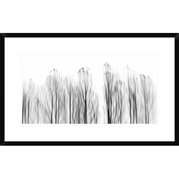 Global Gallery Paulo Abrantes 'No Grounds' Framed Wall Art