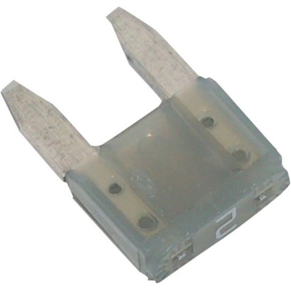 Namz Mini Fuse (2 Amp)