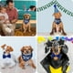 thumbnail image 5 of Suministros de fiesta de cumpleaños para perros, lindo cumpleaños, niño, perro, bandana, sombrero de cumpleaños creativo para perros con 0-8 números, collar de pajarita azul para perro, cachorro, traj, 5 of 11
