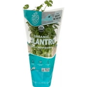 Fresh That's Tasty Living Organic Cilantro