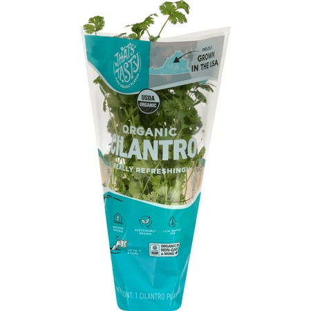 Fresh That's Tasty Living Organic Cilantro