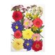 thumbnail image 1 of Conjunto de flores secas Billuyoard para decoración de álbumes de recortes tipo 7, 1 of 6